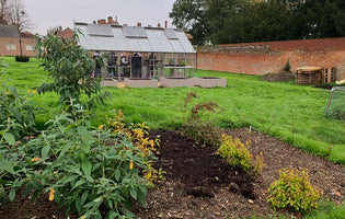 January at Norfolk School of Gardening - John Innes Compost