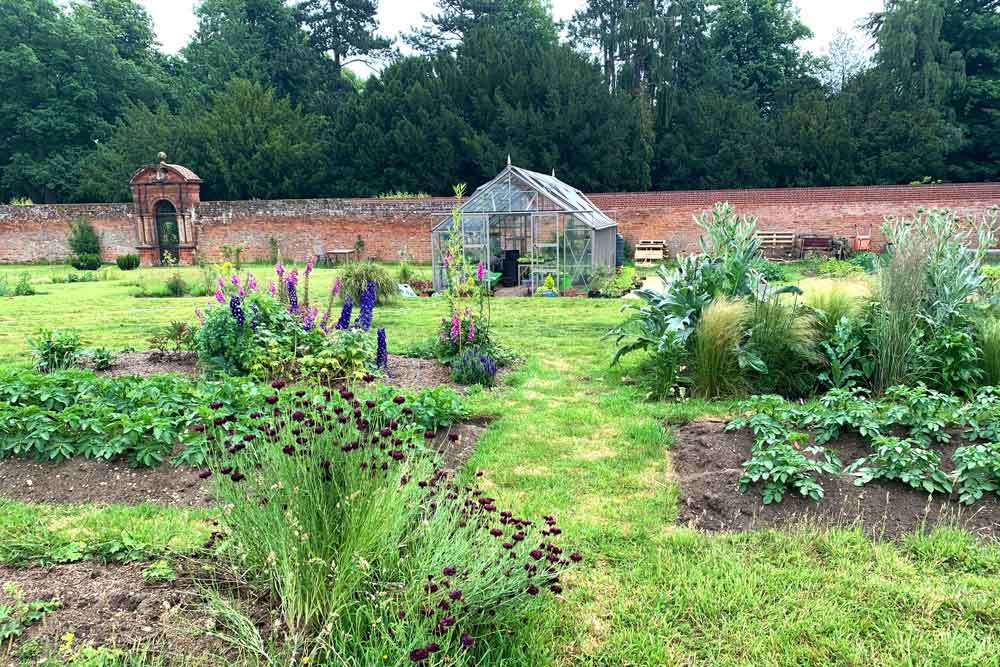 June at Norfolk School of Gardening - Rain, Heat & Natural Pest Control