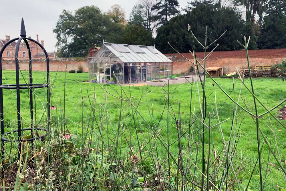 January at Norfolk School of Gardening - Courses Cancelled, Winter Maintenance