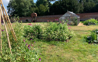 May at Norfolk School of Gardening - Summer Approaches