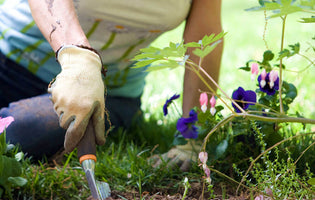 How Gardening Helps With Your Mental Health & Wellbeing