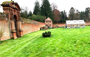 February at Norfolk School of Gardening - Springtime Approaches & Online Courses