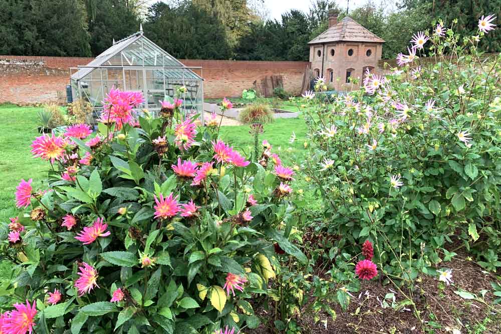 January at Norfolk School of Gardening - Maintaining Flowerbeds