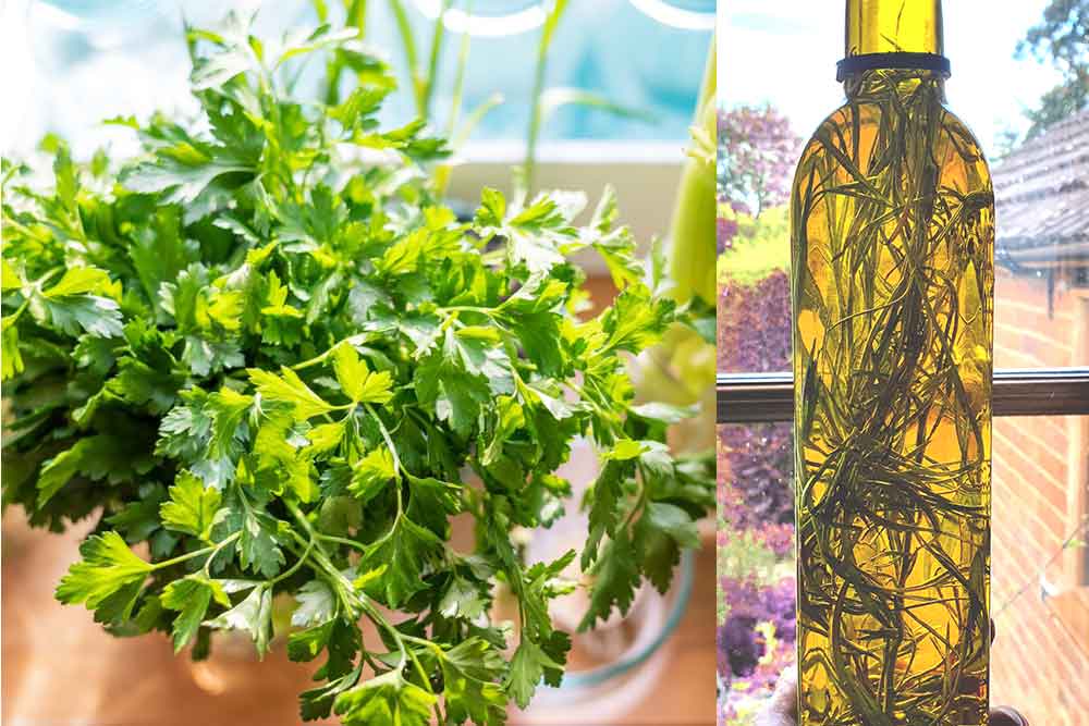 Hawkwell Herbology: September at Home Farm House