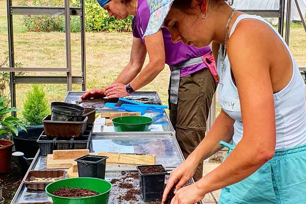 August at Norfolk School of Gardening - Sun & Students