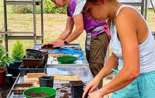 August at Norfolk School of Gardening - Sun & Students