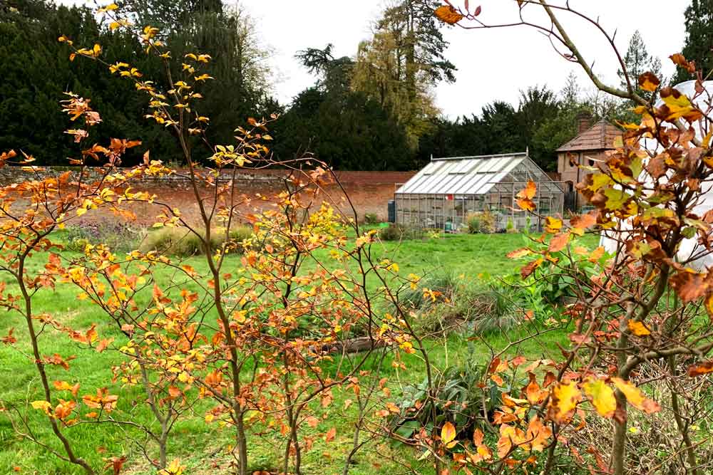 November at Norfolk School of Gardening - Lockdown Learning & Retraining