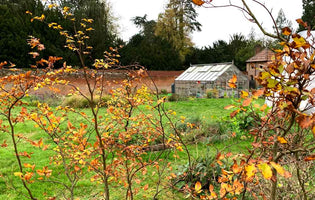 November at Norfolk School of Gardening - Lockdown Learning & Retraining