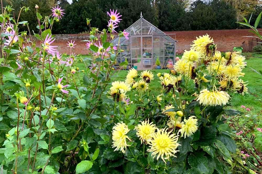 October at Norfolk School of Gardening - Is Autumn more important than Spring?