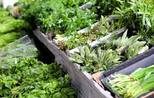 Hawkwell Herbology: Try International Herbs