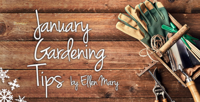 January Gardening Tips