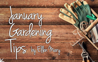 January Gardening Tips