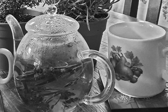 Hawkwell Herbology: Lavender Tea with a Side of Sympathy