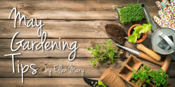 May Gardening Tips 2018