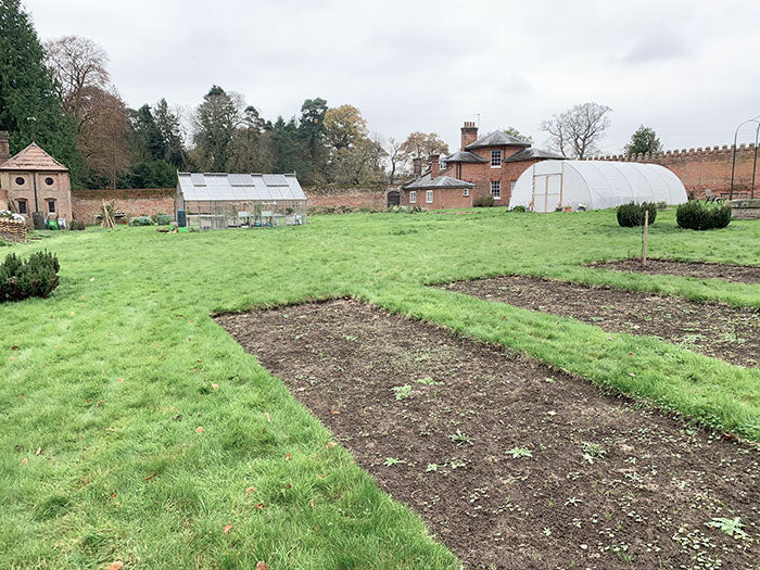 November at from Norfolk School of Gardening - Overwintering Dahlias & Tree and Shrub Care