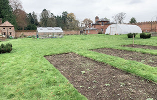 November at from Norfolk School of Gardening - Overwintering Dahlias & Tree and Shrub Care
