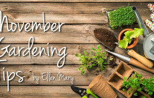 November Gardening Tips