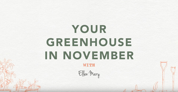 Your Greenhouse in November