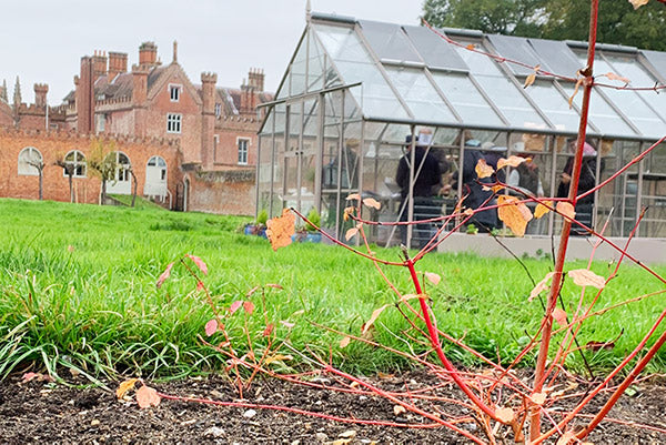 January at Norfolk School of Gardening - Overwintering in the Greenhouse