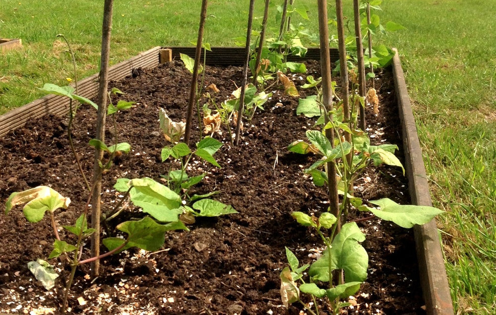 This week from Norfolk School of Gardening - Lawn Care