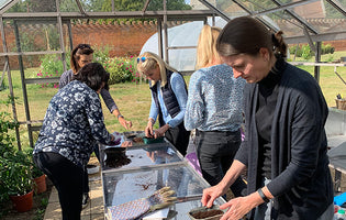 July at Norfolk School of Gardening - Green Walls, Propogating & Printmaking