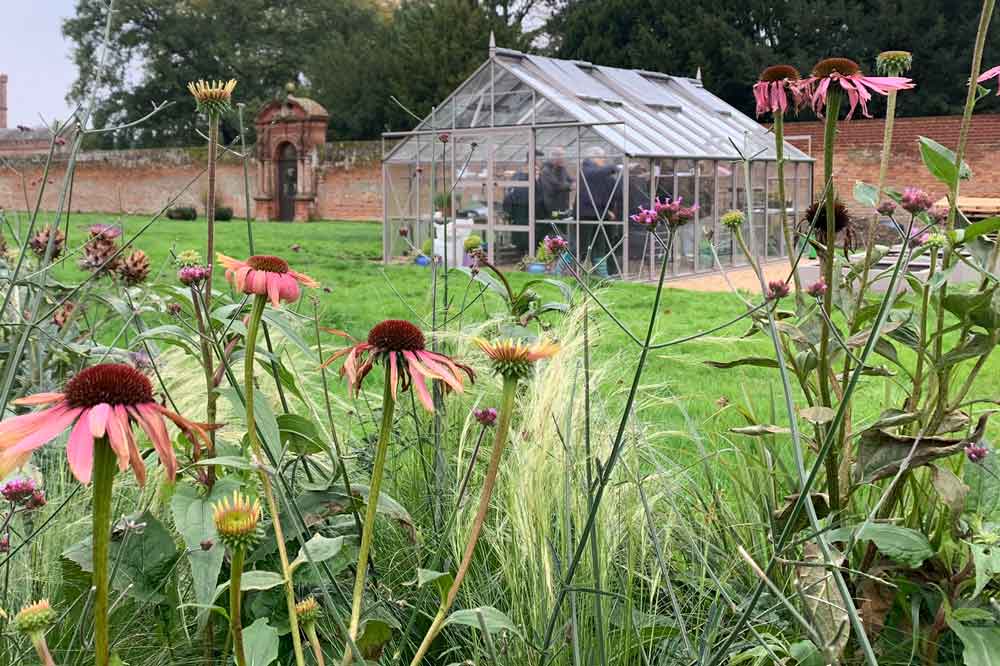 August at Norfolk School of Gardening - Storm Ellen