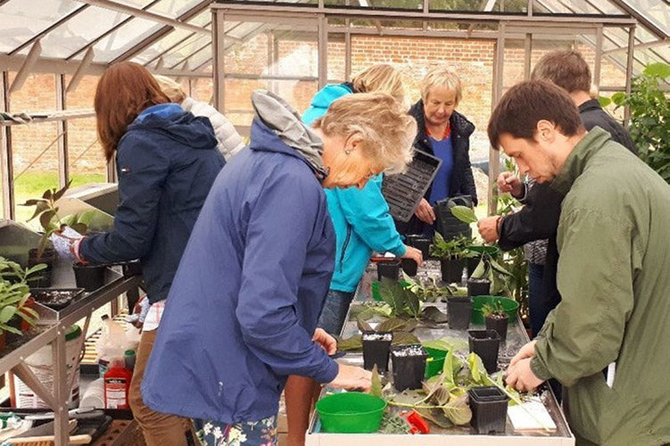 This week from Norfolk School of Gardening - Planting Hedges, Seed Saving for November