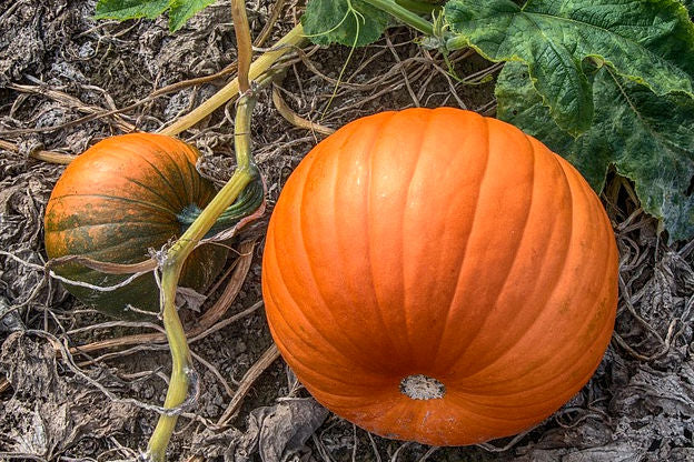 October Blog