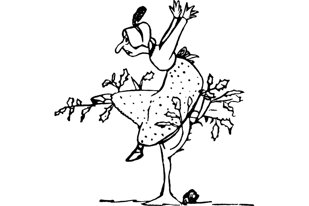 Hawkwell Herbology: Old Wives' Tales