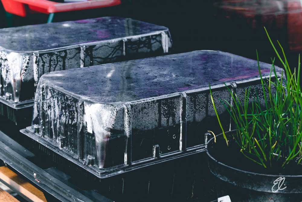 Using Propagators & Hardening Seedlings