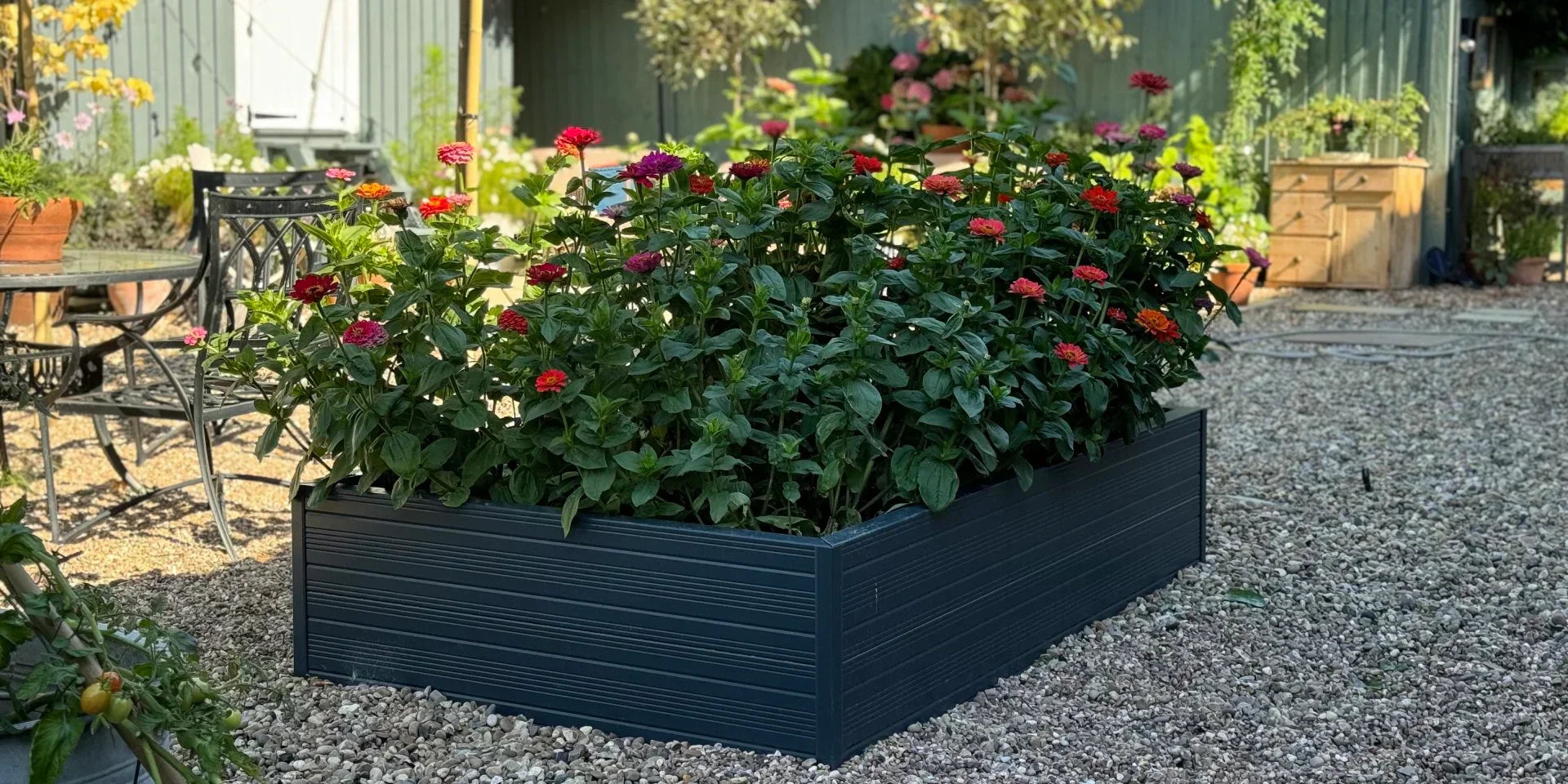 Best Plants for Raised Beds (For UK gardens)