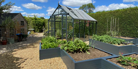 Where to Position Your Raised Beds