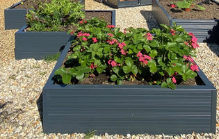 Raised Beds Month-by-Month Growing Guide