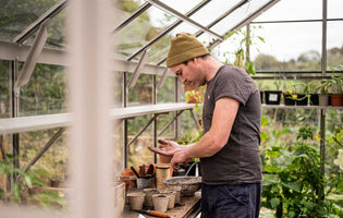 What can I grow in my greenhouse in Autumn and Winter?