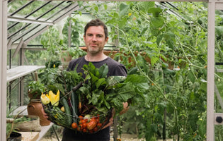 How To Prepare Your Greenhouse for a Successful Growing Season