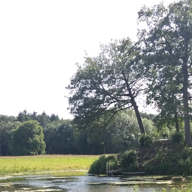 This week from Norfolk School of Gardening - Succession Crops & Harvesting