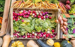 Hawkwell Herbology: Grow Your Own AND Cook It Too!