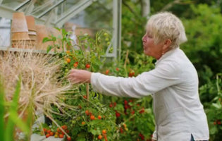 There's a Rhino in Whose Garden?! Carol Klein