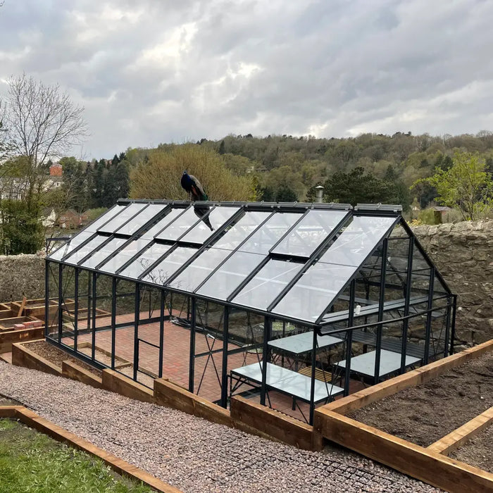 10x20 Premium in Midnight Slate with peacock on the roof
