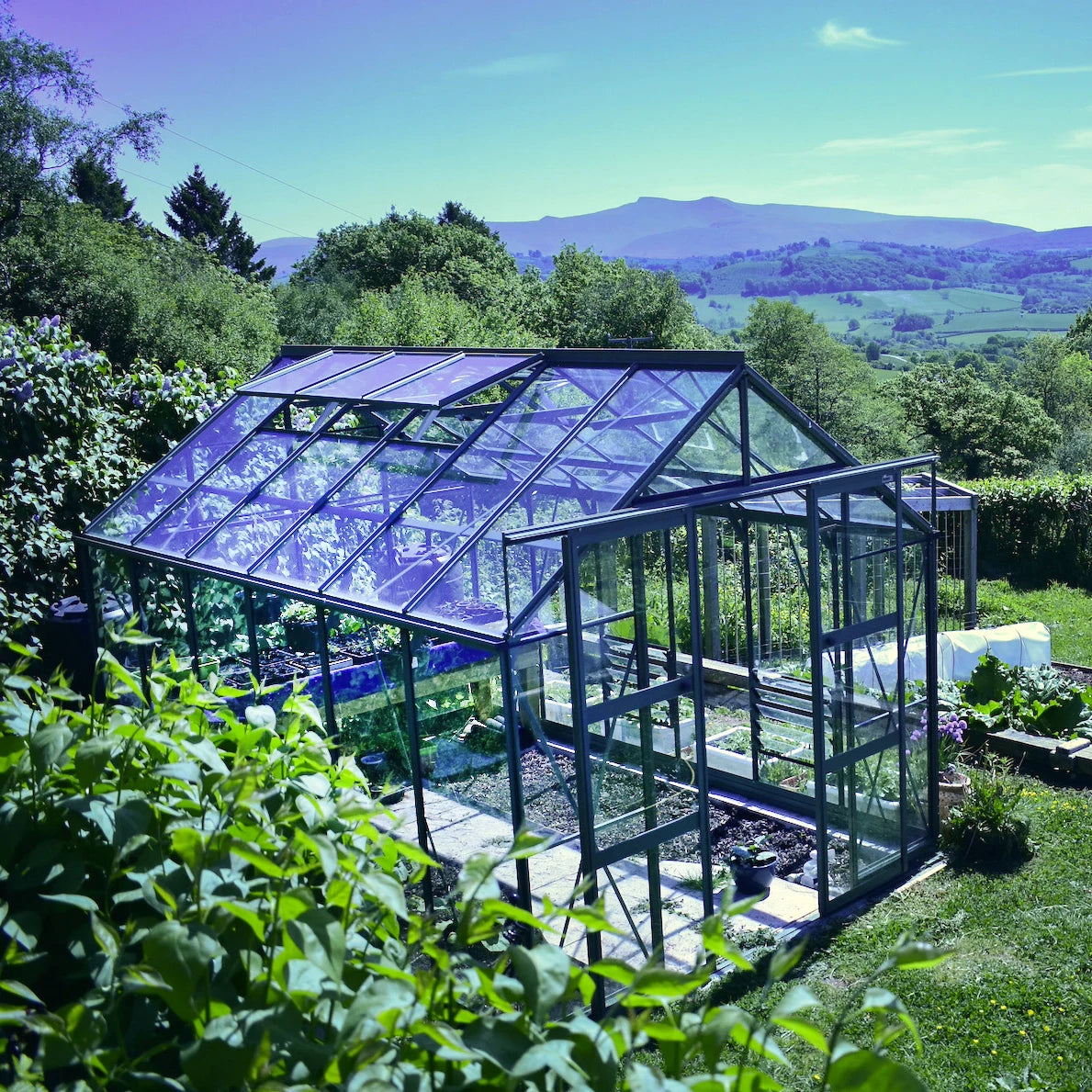 8x12 Rhino Greenhouse in Tuscan Olive