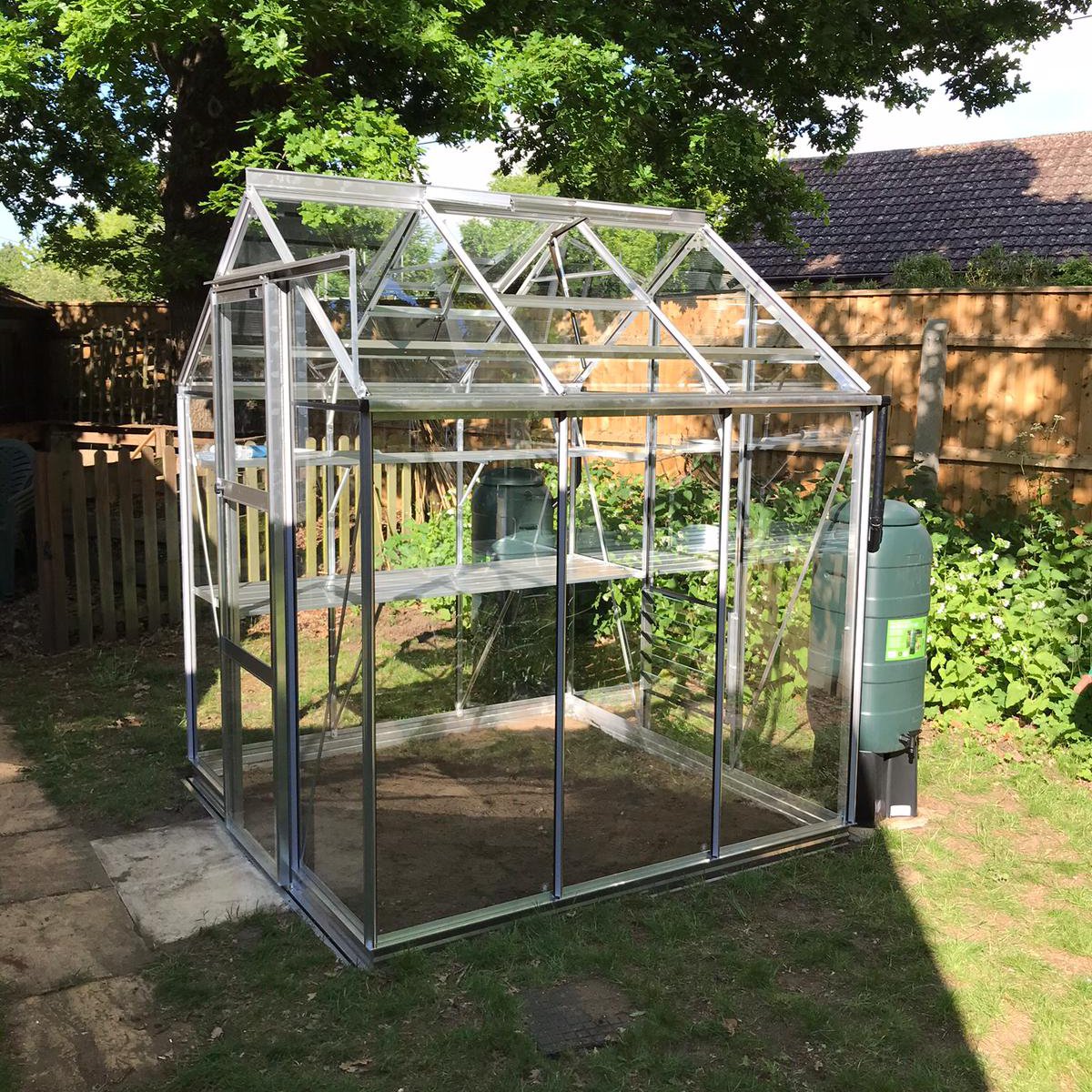 A glass and metal Rhino Greenhouse stands in a sunny garden, surrounded by a wooden fence, lush greenery, and two water barrels, with tall trees providing shade.