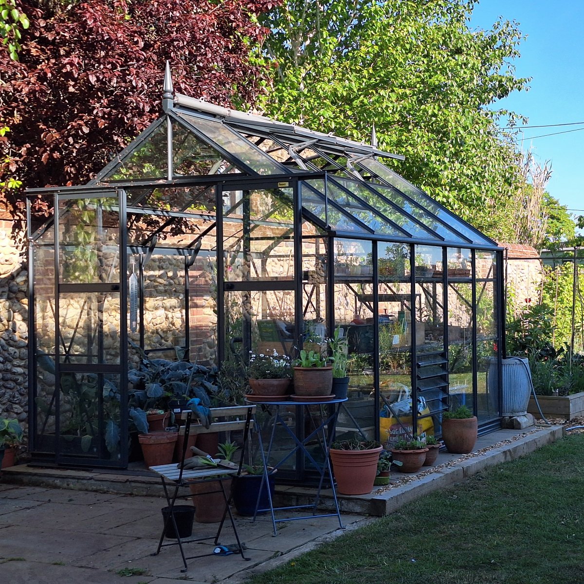Midnight slat Rhino Premium greenhouse in a partially shaded garden