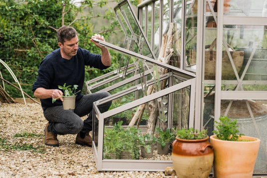 Gill putting plants inside his cold frames