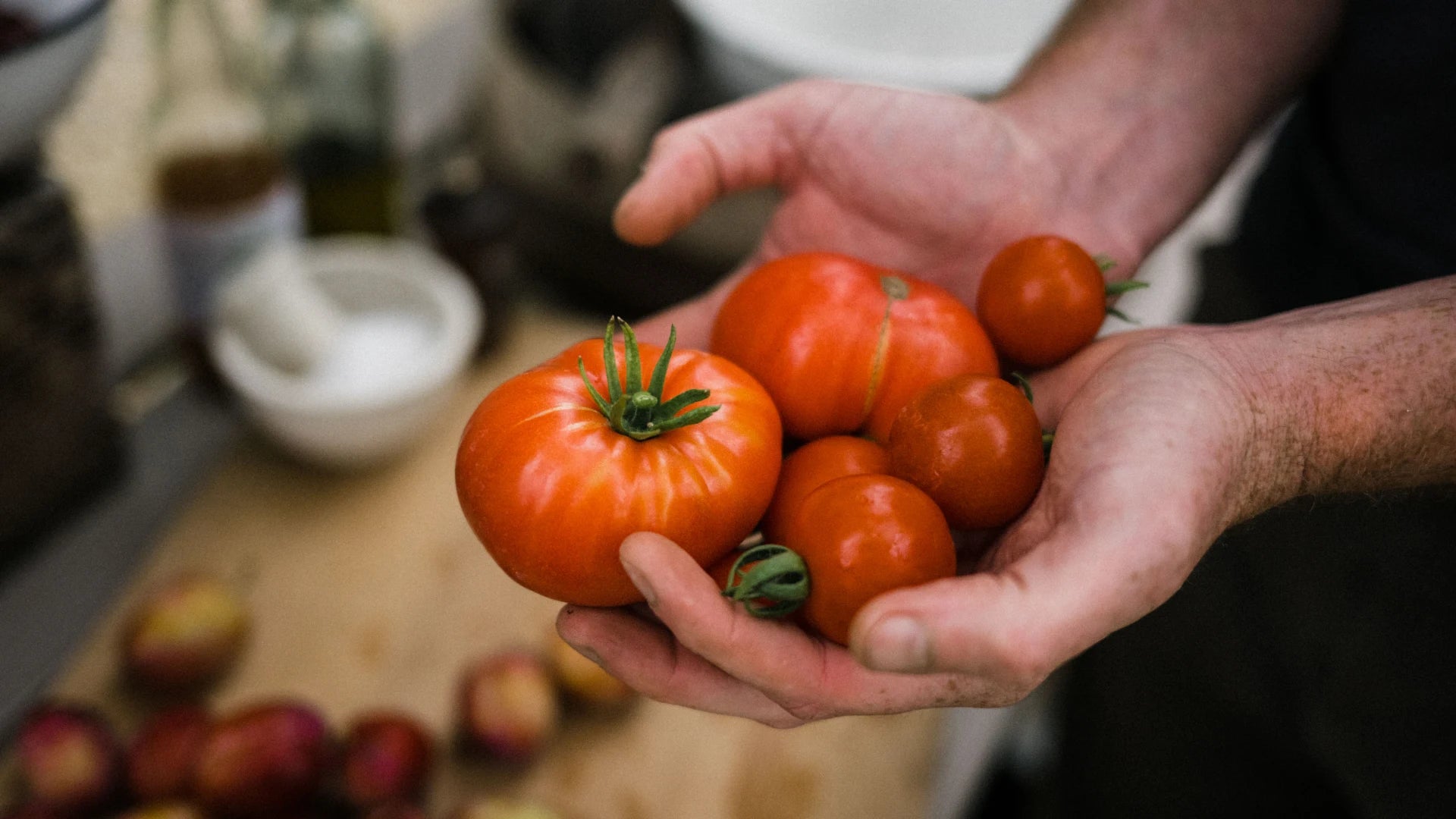Man holding a selection of home grown tomatoes