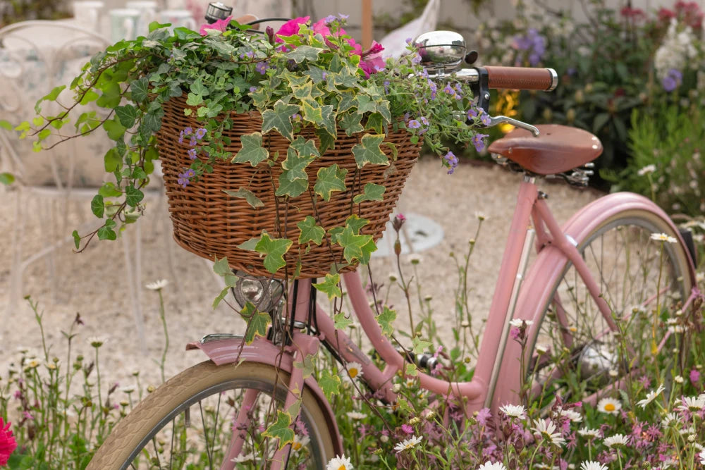 Pashley's Britannia bicycle