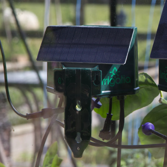 Watering system fixed to greenhouse glass