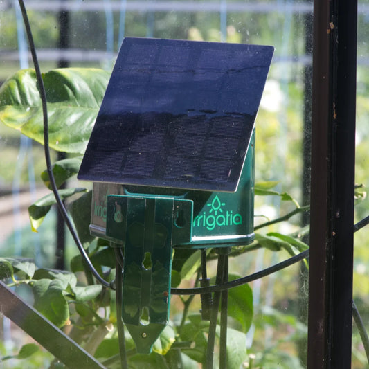 Watering system fixed to greenhouse glass