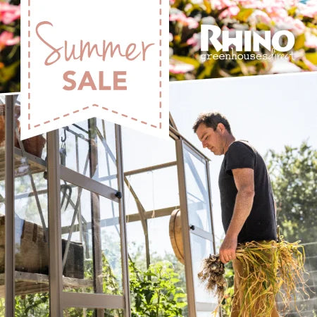 Summer Sale banner