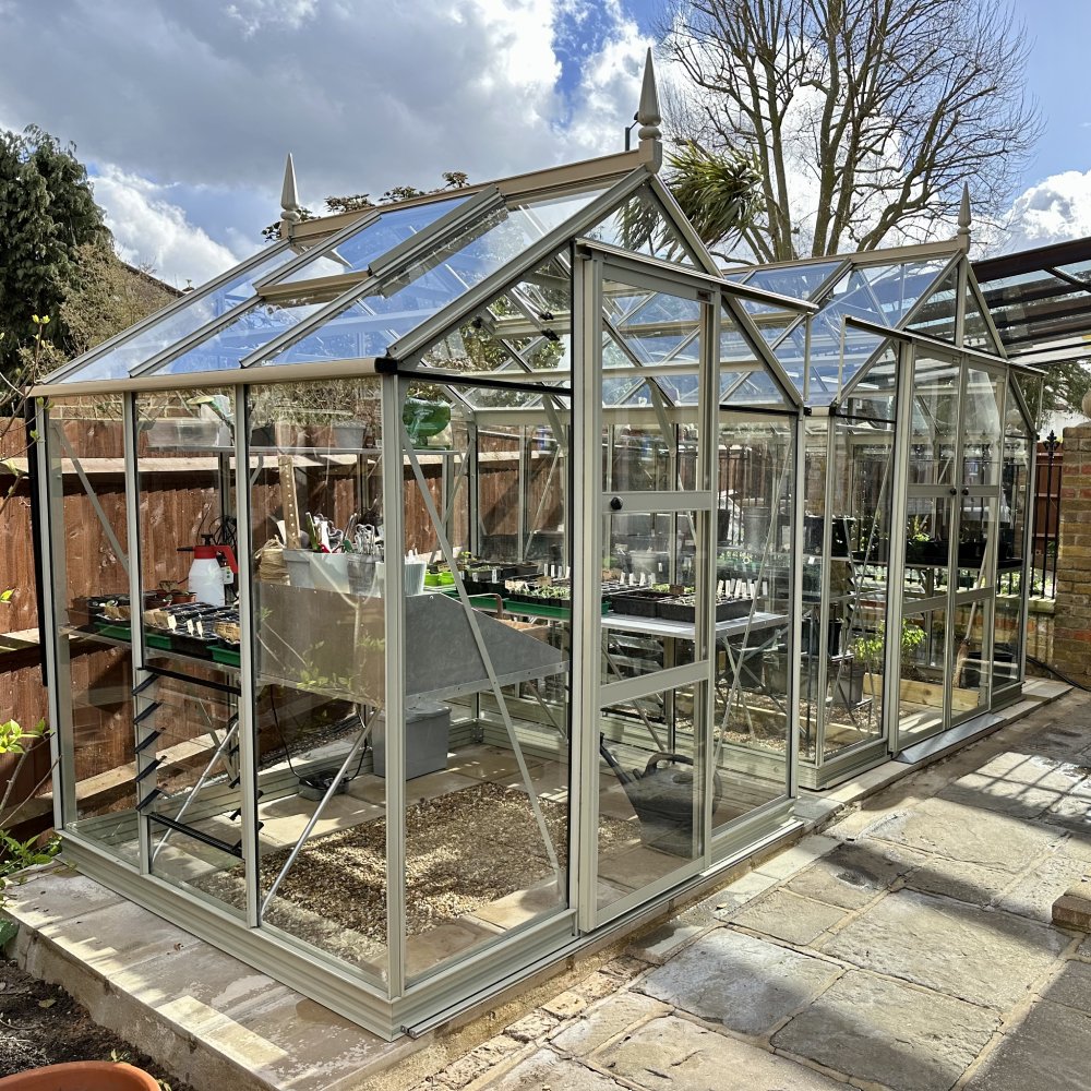 A glass Rhino Greenhouse, featuring metal frames and sharp roof peaks, houses potted plants on trays and shelves inside, surrounded by a fenced garden area with a stone pathway and trees.