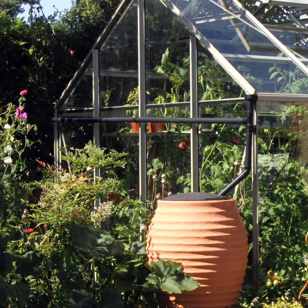 A Rhino Greenhouse with a pitched glass roof stands amidst lush greenery, containing tall plants. A ribbed terracotta water butt with a black lid is positioned in front.